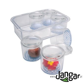 Box with magnifying glass and measuring tape - 6 pcs. in the container, for observation of specimens