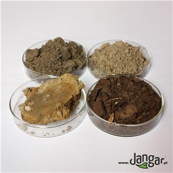 GLEBA - experimental set with laboratory equipment and work cards