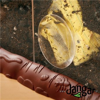 3-chamber container with magnifiers for biodegradation