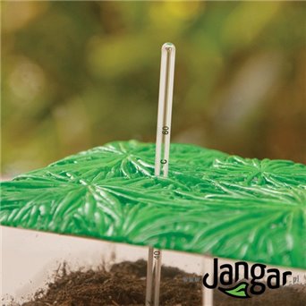 3-chamber container with magnifiers for biodegradation