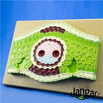 Relief model of a leaf of a monocotyledonous plant