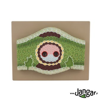 Relief model of a leaf of a monocotyledonous plant