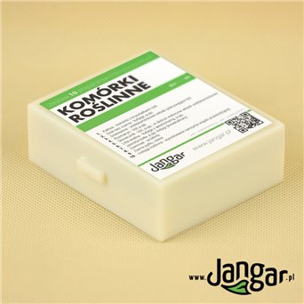 Plant cells - 10 microscopic preparations