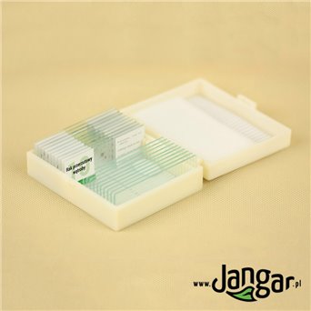 Human tissues, pathogenically modified - 10 microscopic preparations