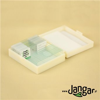 Plant propagation - set of 10 microscopic preparations