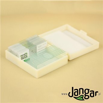 Zestaw 12 preparatów mikroskopowych – podstawowy