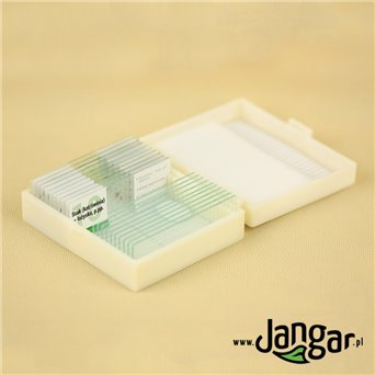 Animal reproduction - a set of 10 microscope preparations