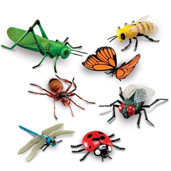 A set of 7 large insect models