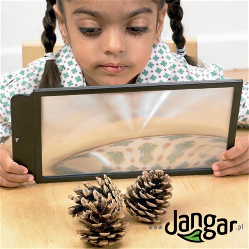 Frame enlargement sheet