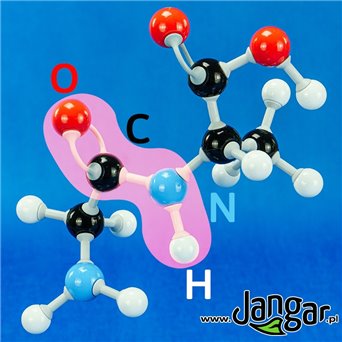 Zestaw podstawowy do biochemii