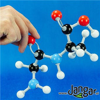 Zestaw podstawowy do biochemii