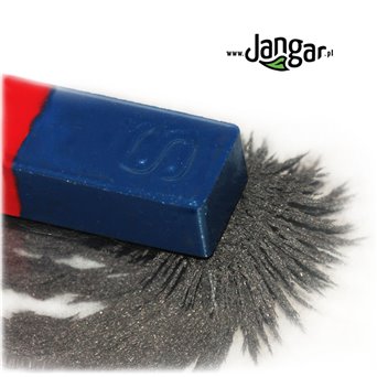 Iron Filings in Shaker, 225 g