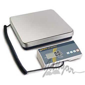 Floor scale with display on the wire