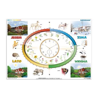 The rhythms of nature - the board