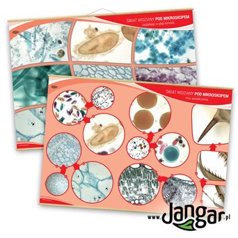 The world as seen under the microscope - a set of charts