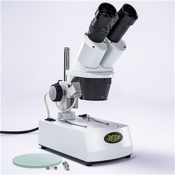 20x/40x stereoscopic microscope, backlit (bottom and top light)