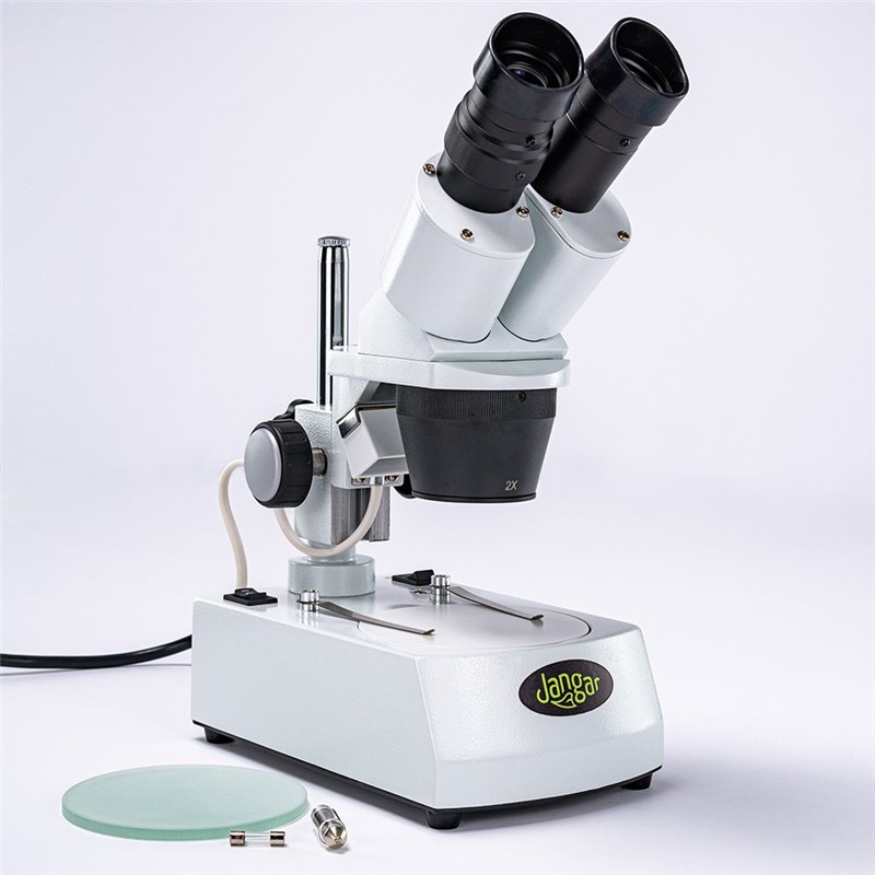 20x/40x stereoscopic microscope, backlit (bottom and top light)