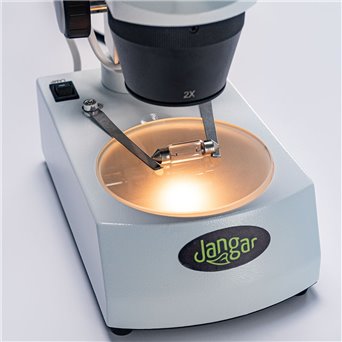 20x/40x stereoscopic microscope, backlit (bottom and top light)