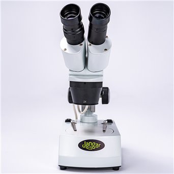 20x/40x stereoscopic microscope, backlit (bottom and top light)