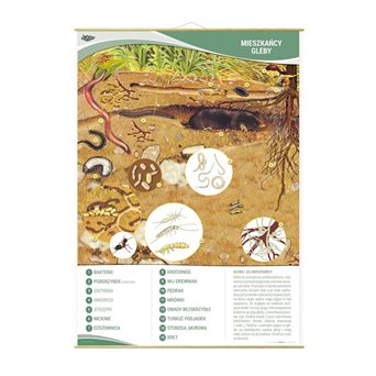 Wall board: Soil dwellers, 91 x 130 cm