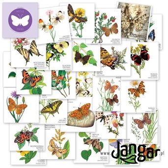 Gra Memory-54: Motyle Polski – 54 elementy w pudełku