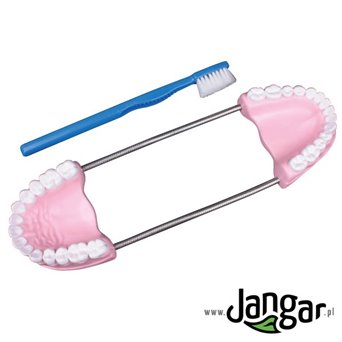 Dental model for learning oral hygiene, enlarged 3x, with toothbrush