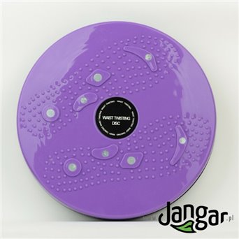 General developmental exercise disc