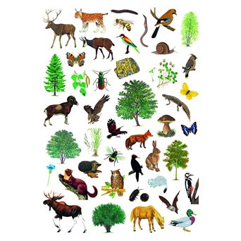 Stickers of forest and wildlife, 137 organisms