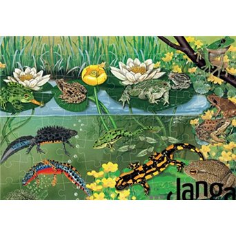 ANIMALS OF POLAND: Educational puzzles (88 items in a box with a pad), package 4