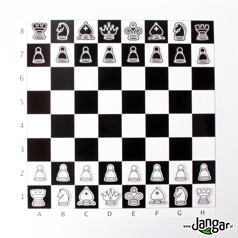 Demonstration magnetic chess