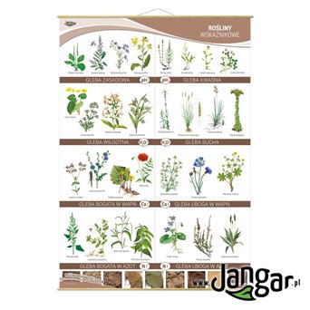 Wall board: Indicator plants, 90 x 130 cm