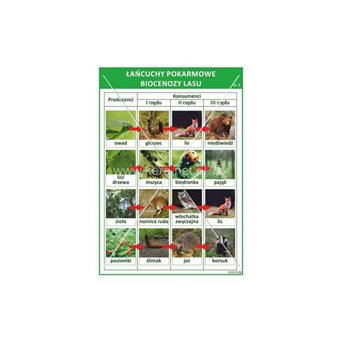 Wallboard: Biocenosis food chains 2