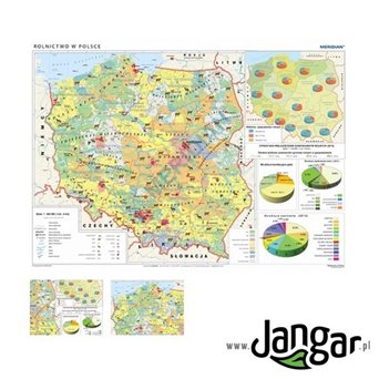 Mapa ścienna: Rolnictwo w Polsce - uprawy i struktura użytkowania ziemi