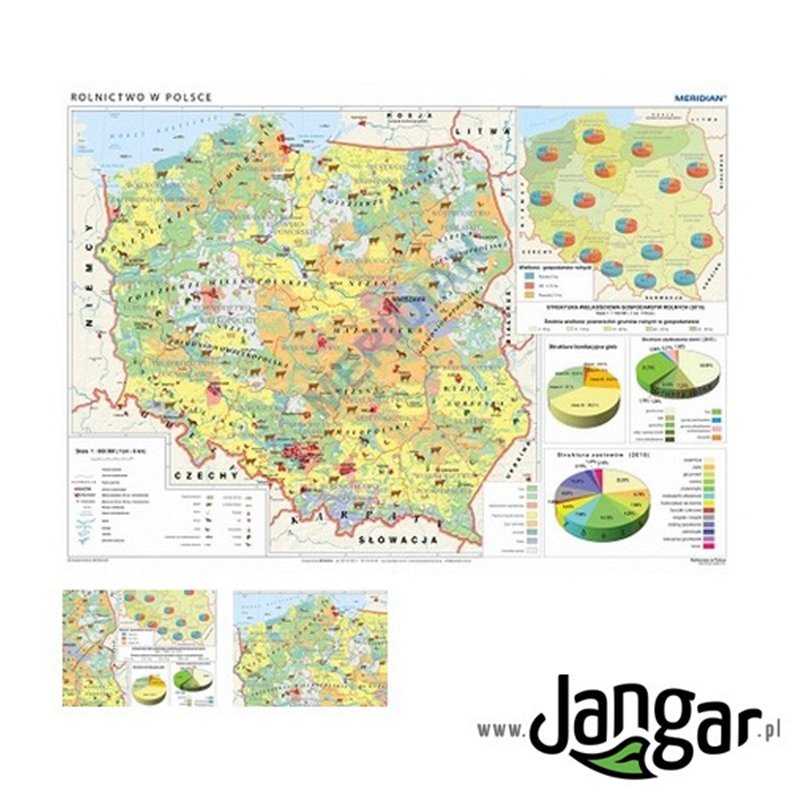 Mapa ścienna: Rolnictwo w Polsce - uprawy i struktura użytkowania ziemi