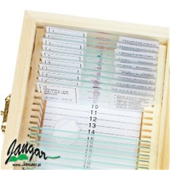 Insect-body - a set of 15 microscopic preparations