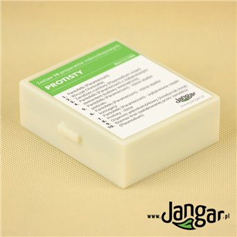 Protists - 10 microscopic preparations