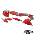 Human upper limb muscle model, 6-part
