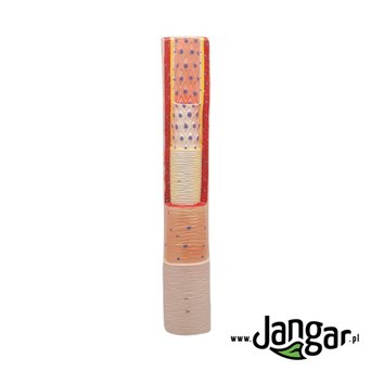 Artery, vein and capillary vessel - 3 models with sections