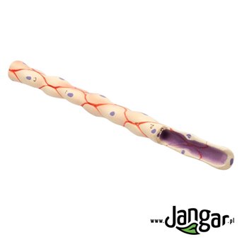 Artery, vein and capillary vessel - 3 models with sections