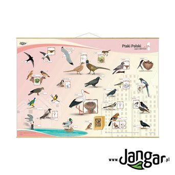 Wall Sheet: PTAKS POLISH living next to people 130x90 cm