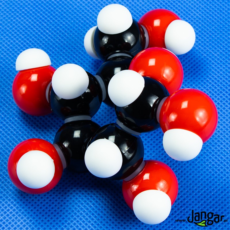 Glucose model