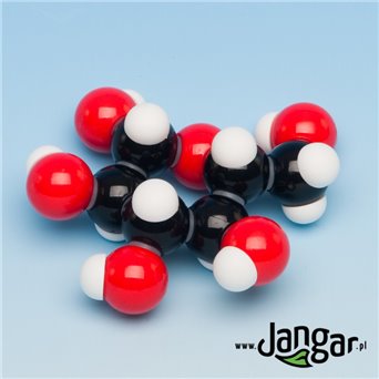 Glucose model