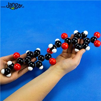 Polyester model - jangar.pl