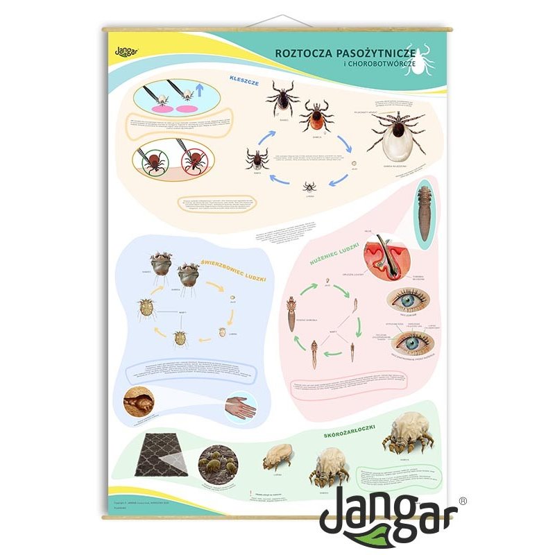 Wall board: PARASITIC AND PATHOGENIC MITES, 90x130 cm