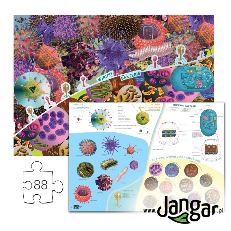 VIRUSES & BACTERIA Puzzles, 88 pieces + pad, in lockable box - jangar.pl