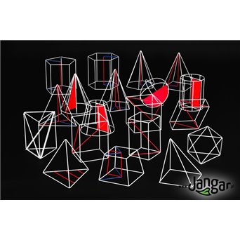 Set of 18 large skeleton solids - jangar.pl