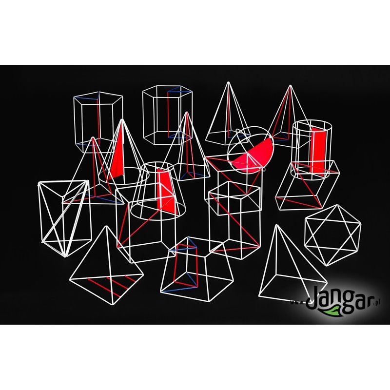 Set of 18 large skeleton solids - jangar.pl