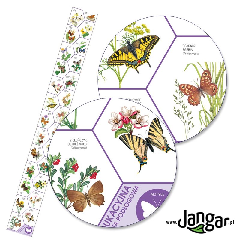 Educational floor mat 3.5 m x 0.38 m. BUTTERFLIES - jangar.pl