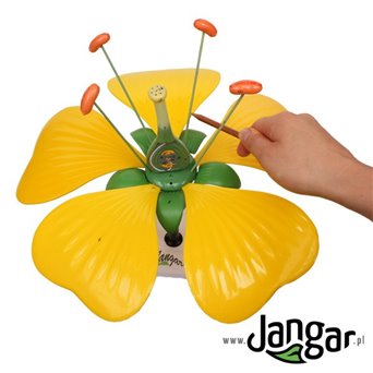 Flower construction board with indicator and model - jangar.pl