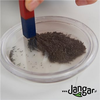 Box of filings, set of 10